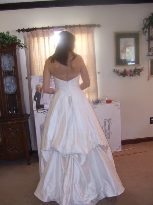 French Bustle Pictures And Wedding Dress Bustle Tips